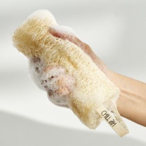 Loofah Sponge